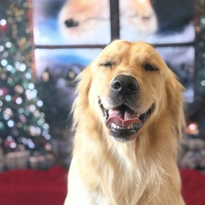 Gentle nail trimming